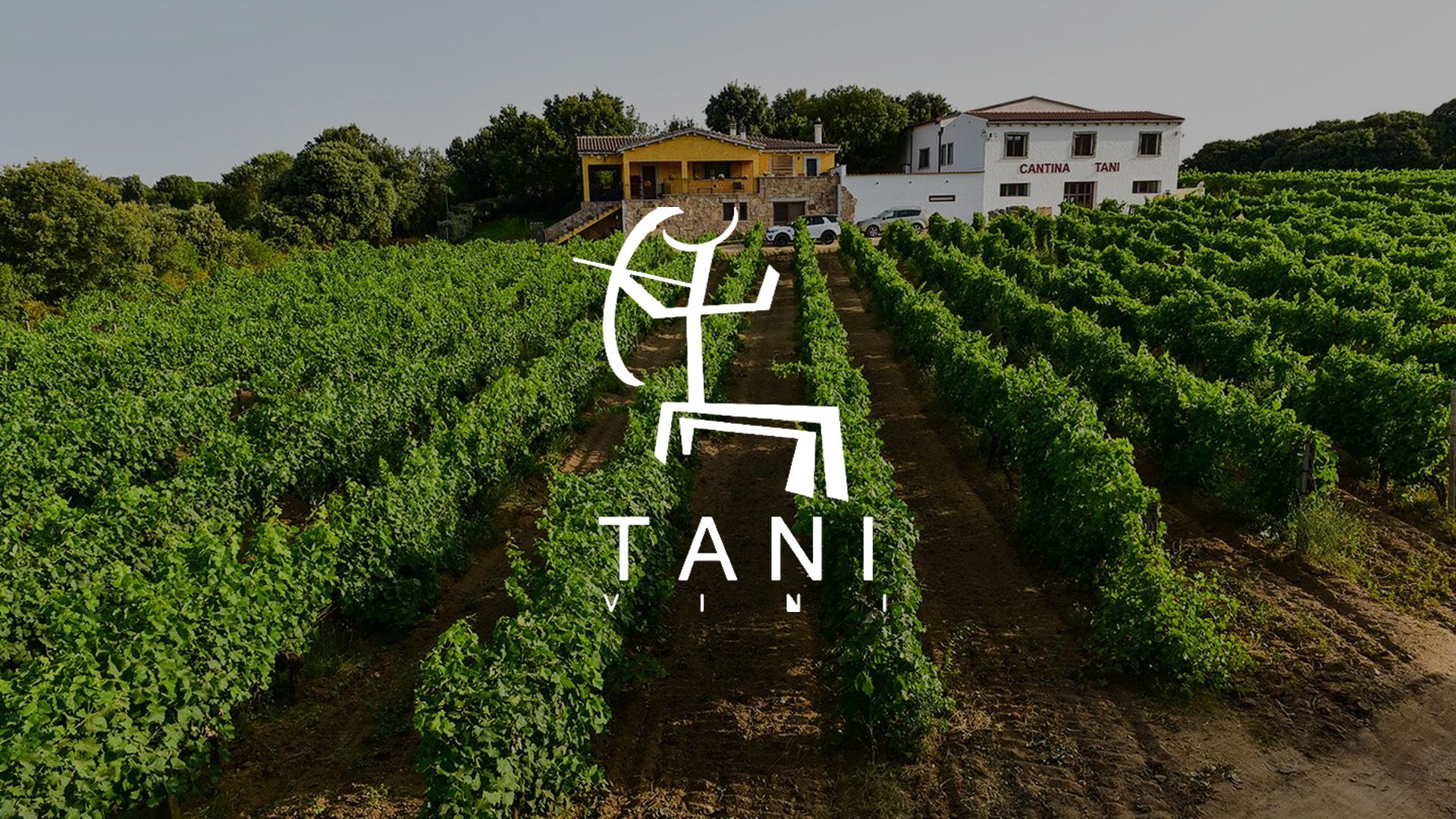 cover-cantina-tani
