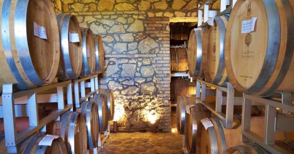 corso-vino-divina-provvidenza