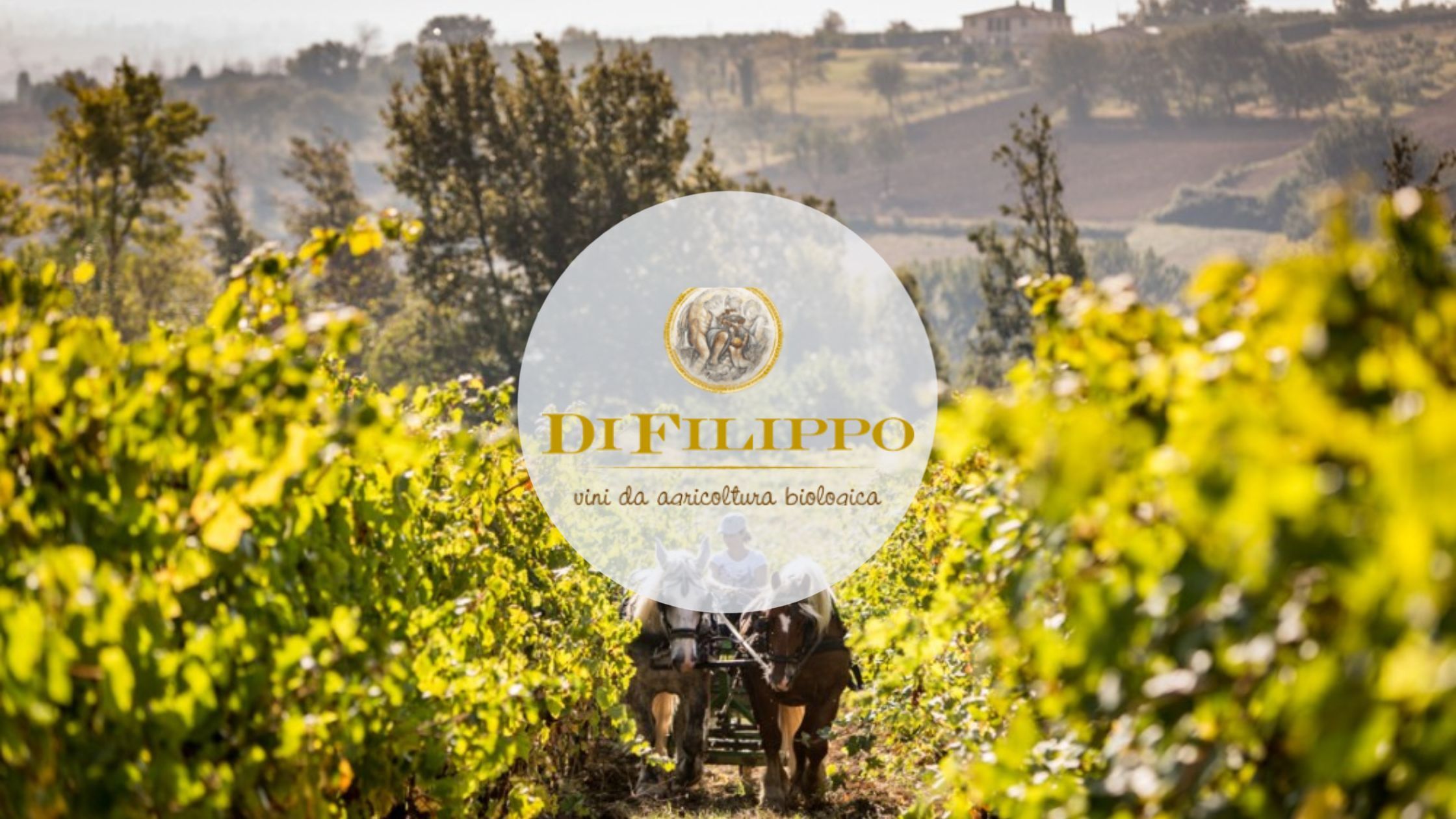 Copertina.Cantina-di-Filippo