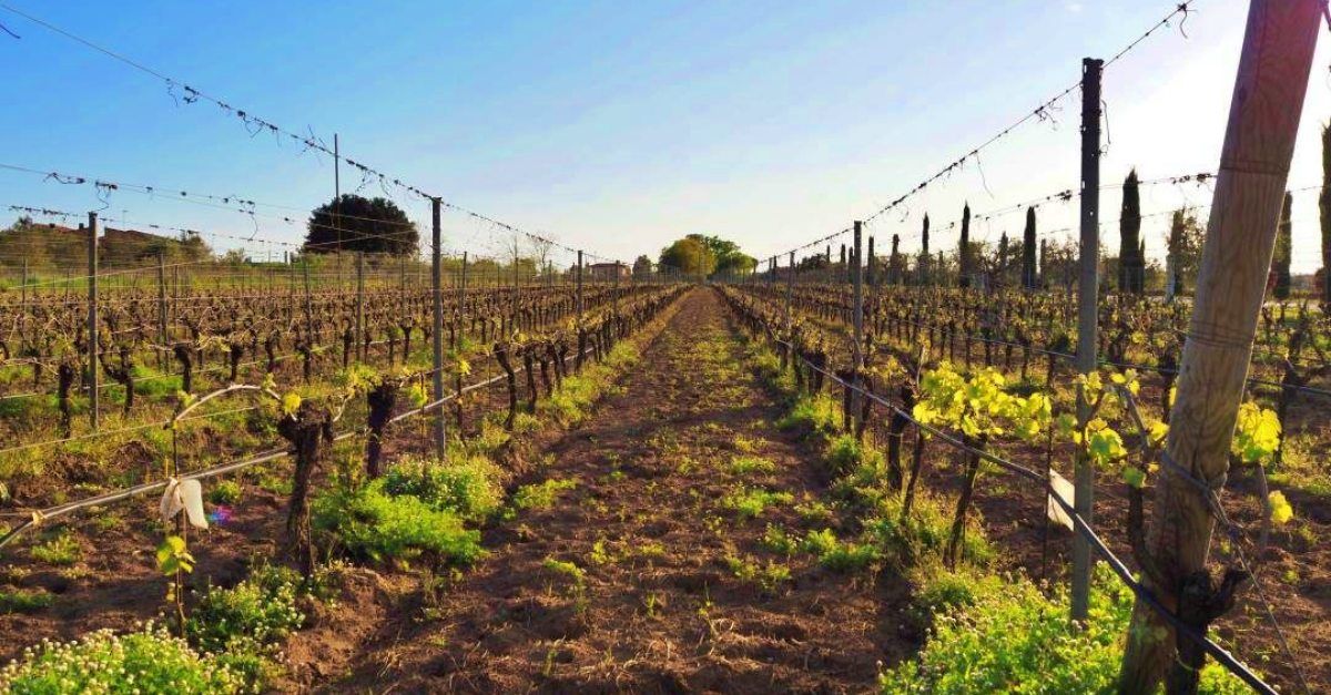 casa-divina-provvidenza-cover