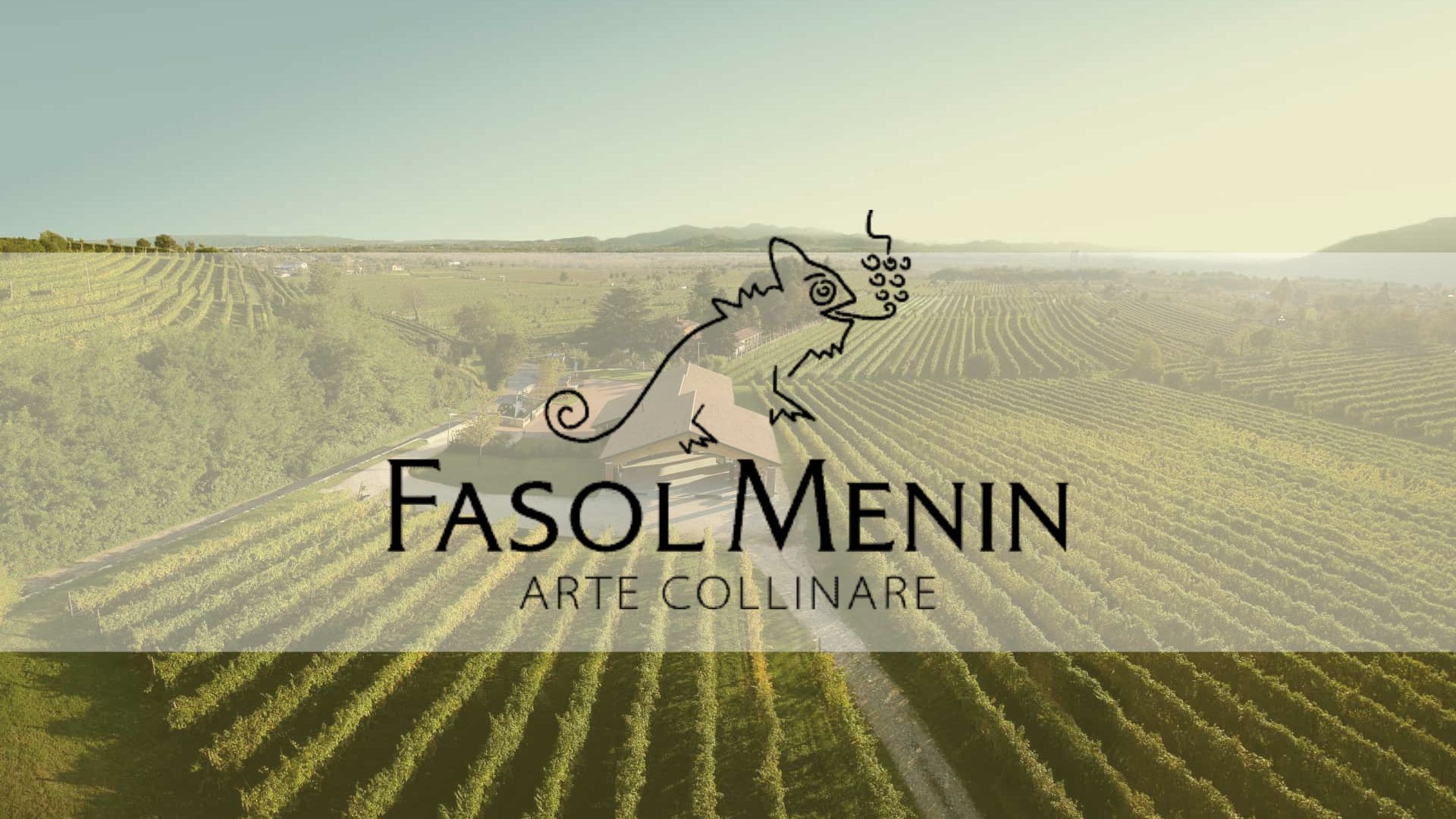 fasol-menin-cover